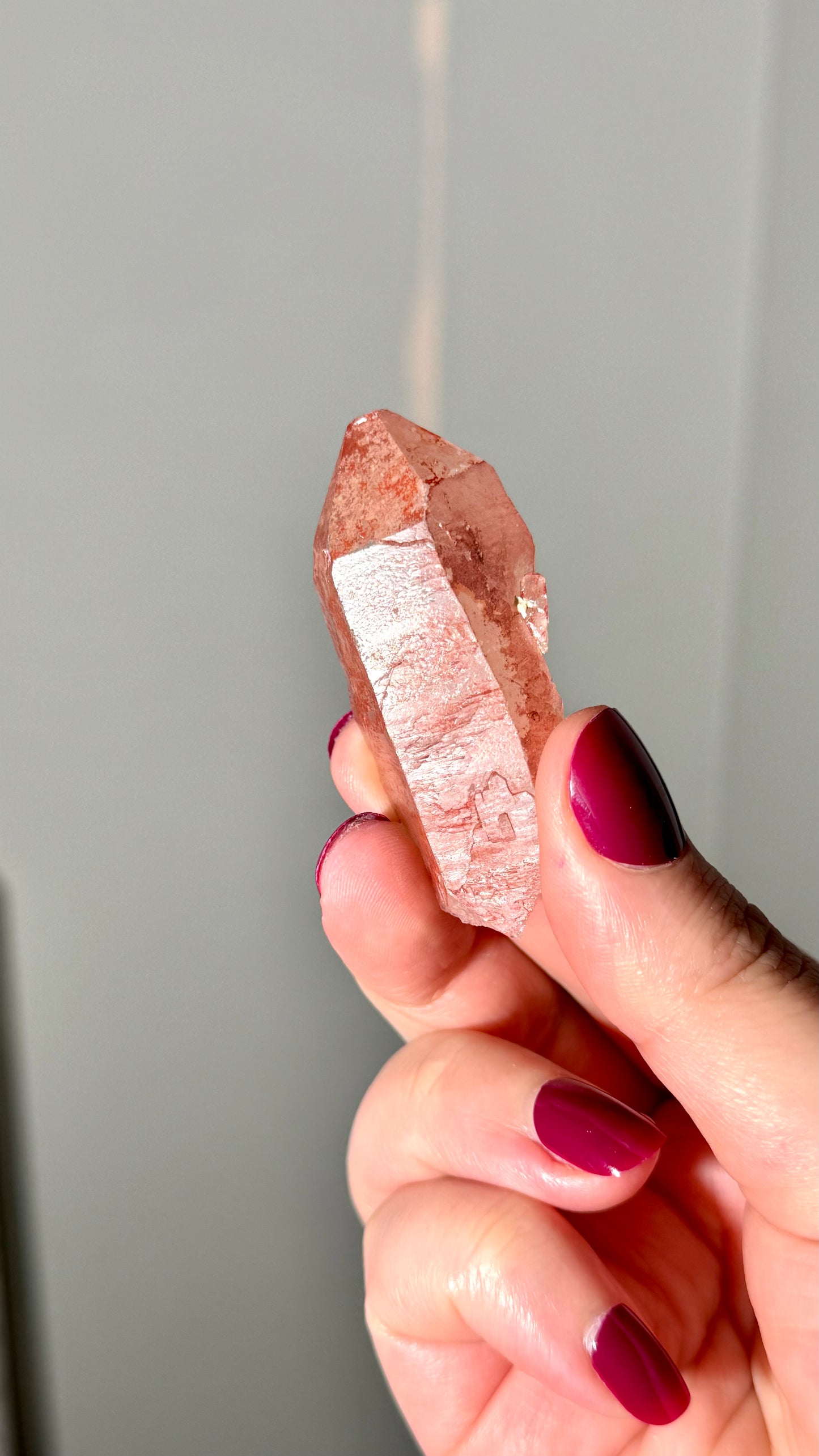 Pink Lemurian (Z)