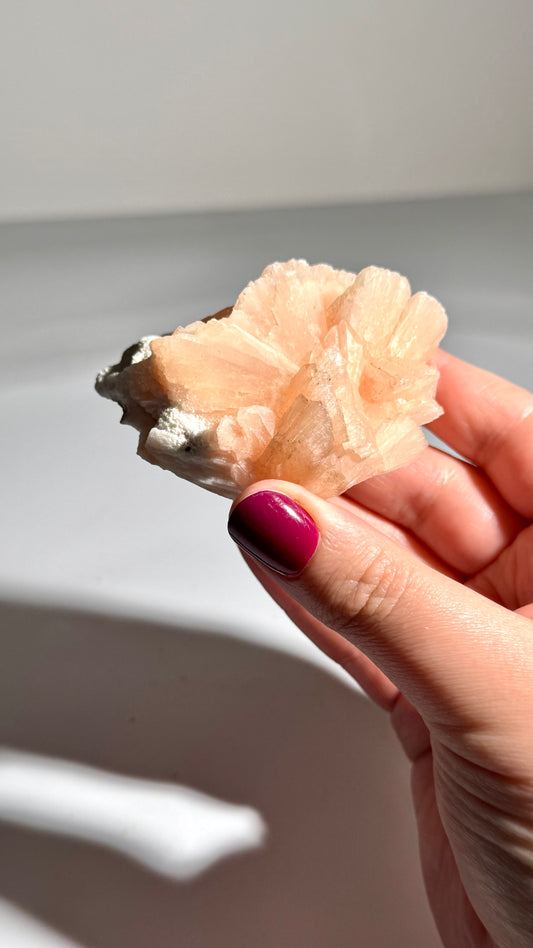 Peach Stillbite