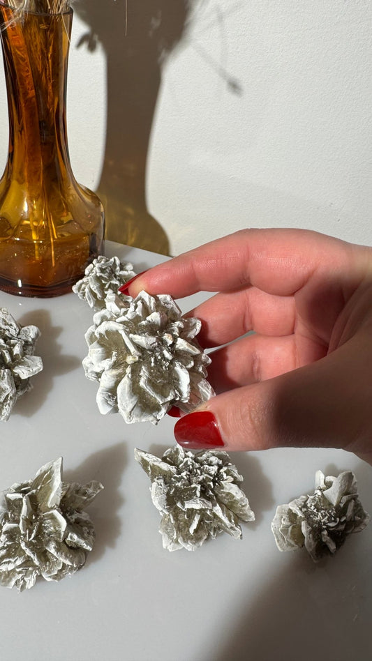 Desert Rose Selenite clusters - The Crystal Therapy