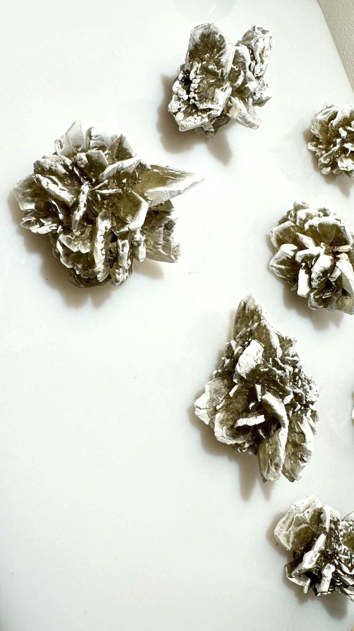 Desert Rose Selenite clusters - The Crystal Therapy