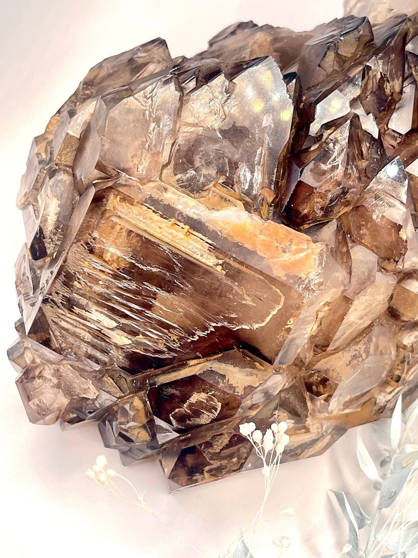 Jacare Smoky Quartz - The Crystal Therapy