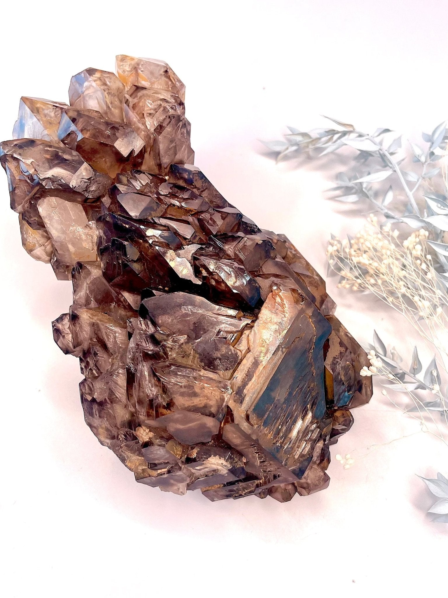 Jacare Smoky Quartz - The Crystal Therapy